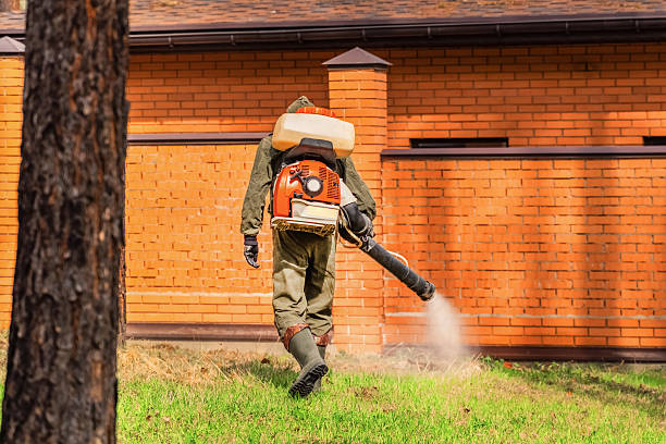 Bed Bug Clearance Verification and Documentation in Lawai